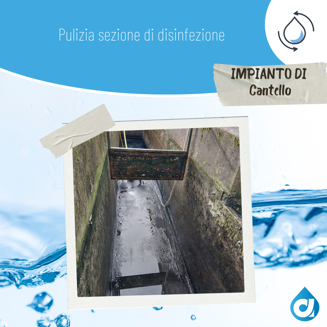 D1 - Impianto di Cantello
