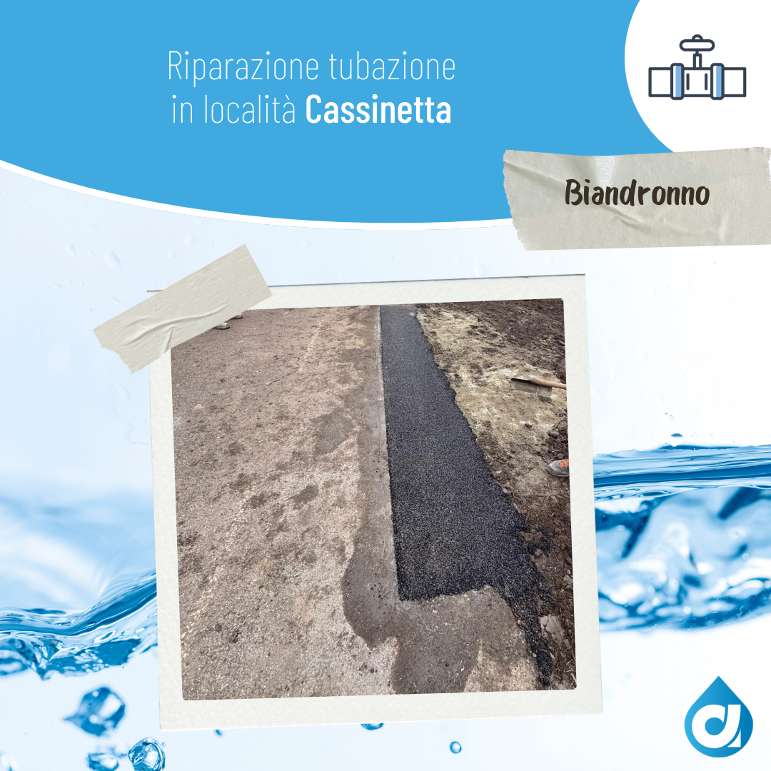 F9 - Comune di Biandronno