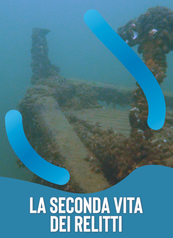 Relitti in acqua, l'ecosistema del lago