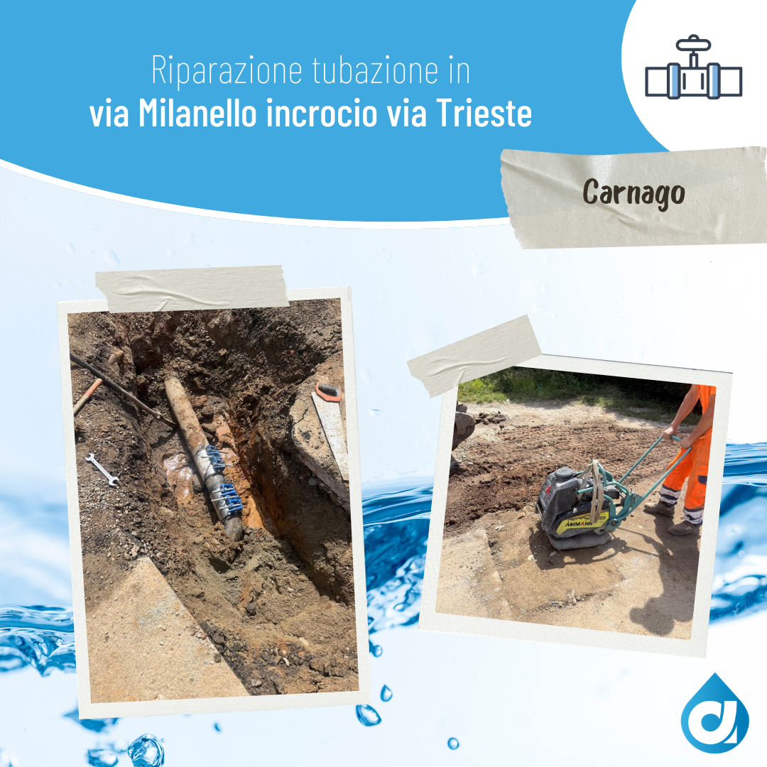 F6 - Comune di Carnago